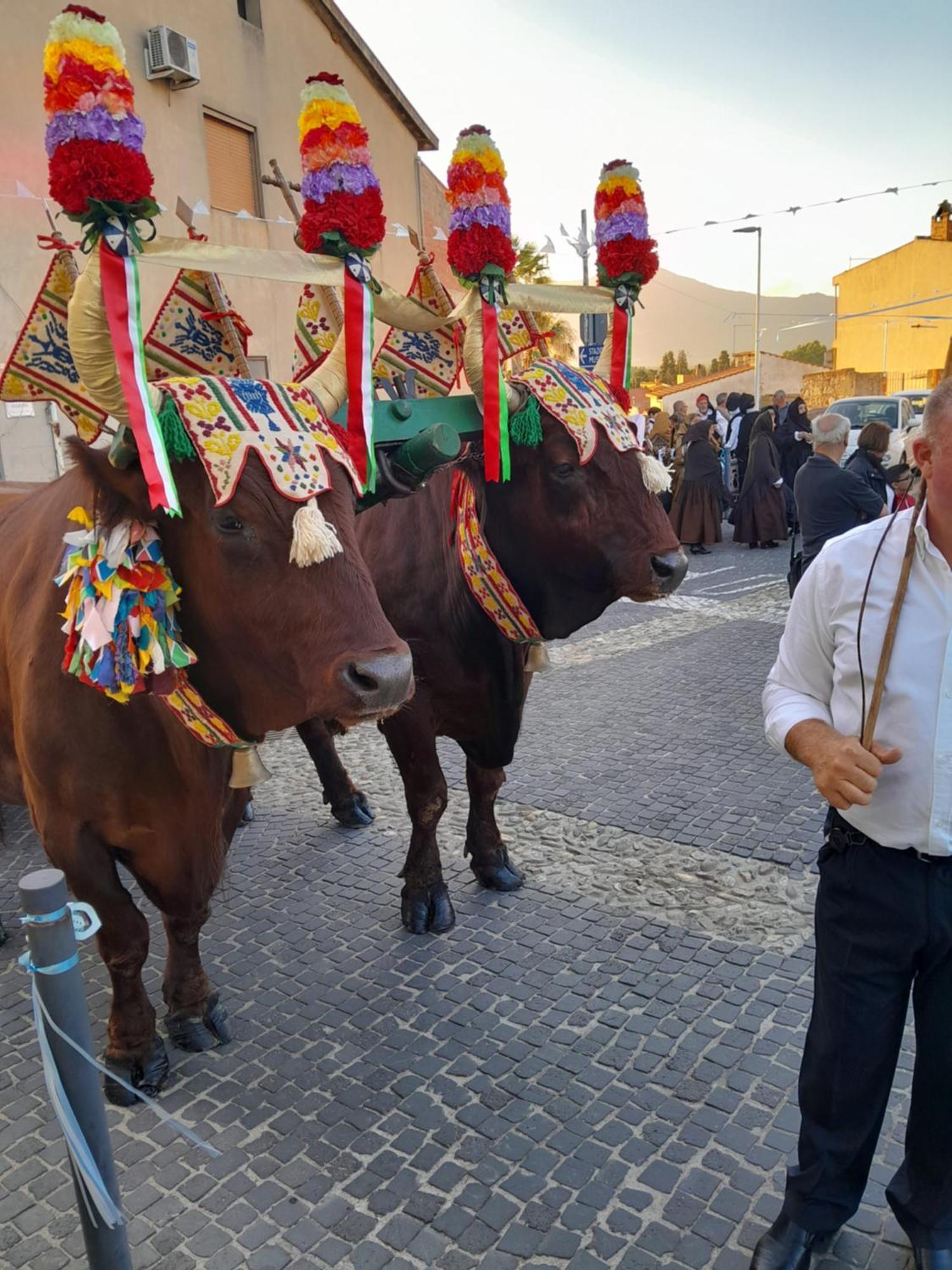 Sardinia Experience Lejlighed Villamassargia Eksteriør billede