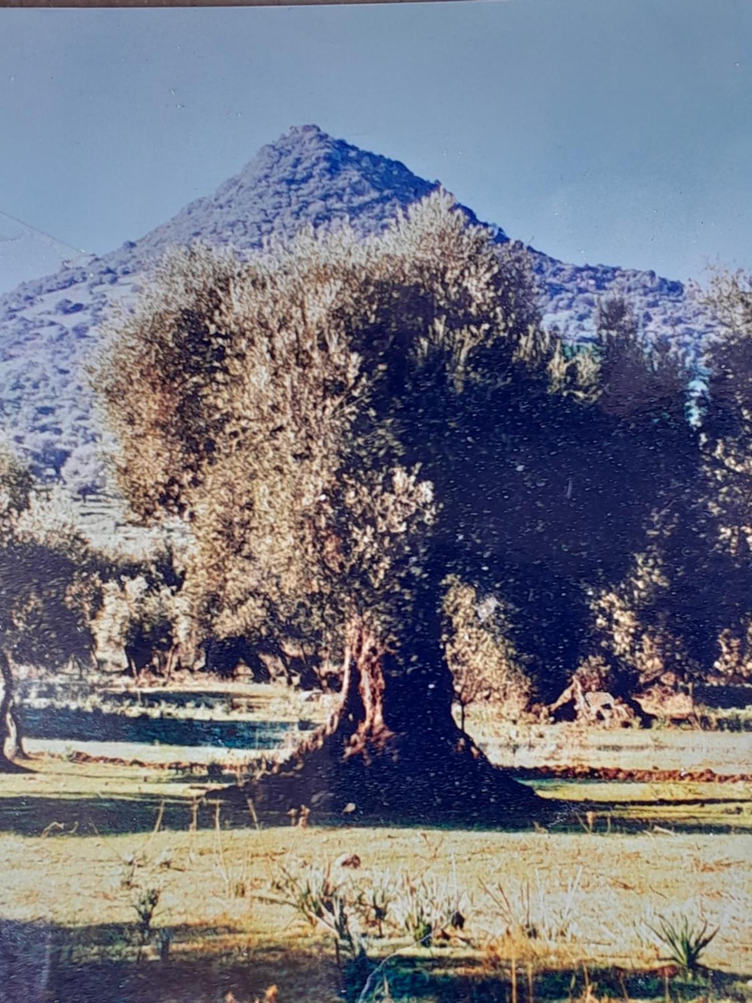 Sardinia Experience Lejlighed Villamassargia Eksteriør billede